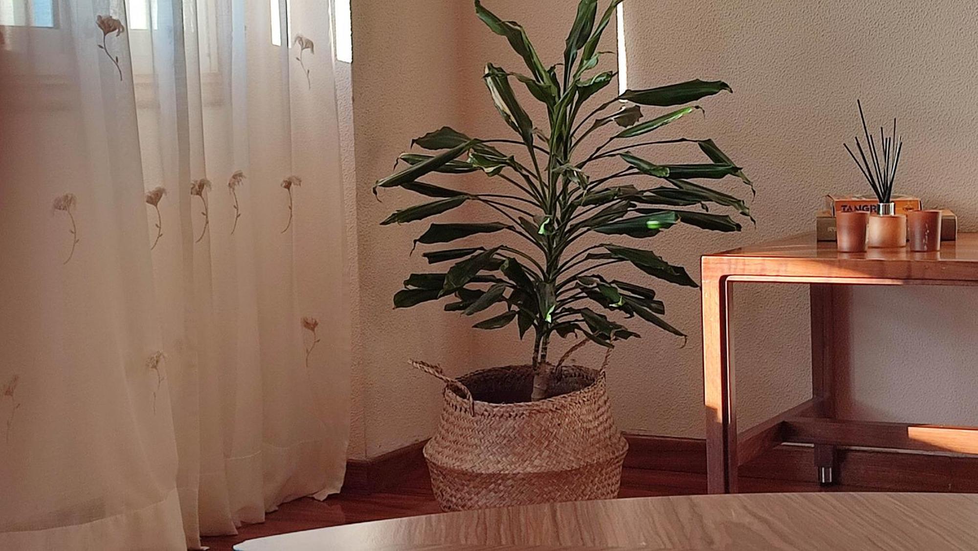 Appartamento Duplex acogedor CAMINO INGLÉS a 10 min de Santiago Sigueiro Esterno foto